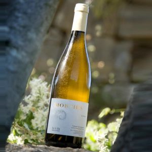 Morties Blanc 2020 - Domaine de Morties - AOP Languedoc